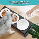 Lannvan Katzennapf Erhöht 3er Set – Keramik Futterstation mit 15° Neigung für Katzen & kleine Hunde – Bild 6