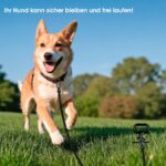 Vehepeay Bodenanker Hund ø12mm – Spiralanker bis 100kg für sicheres Anbinden – Bild 8