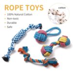 Toozey Hundespielzeug 7er Set für kleine Hunde – Kauspielzeug & Quietschspielzeug aus Naturbaumwolle – Bild 2