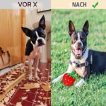 AOKEASE Hundespielzeug 18er Set – Quietschendes Plüschspielzeug für Welpen & grosse Hunde – Bild 5