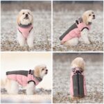 Savlot Wasserdichter Hundemantel mit Fleecefutter – Winterjacke für kleine bis grosse Hunde – Bild 6