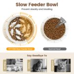 PETTOM Erhöhter Antischlingnapf Katze Keramik – Slow Feeder mit Bambusgestell – Bild 2