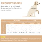 haapaw Hundegeschirr & Leine Set – Anti-Zug Welpengeschirr mit Polsterung für kleine Hunde – Bild 7