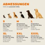 CADOCA® Hundebox XXXL 101x70x70cm – Faltbare Transportbox mit Stahlrahmen für grosse Hunde – Bild 2