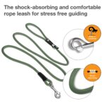 Curli Stretch Comfort Leash M – Stoßdämpfende Hundeleine mit Sicherheitskarabiner – Bild 2