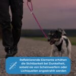 Golden Pets Hundeleine 2m reflektierend – Paracord Führleine bis 250 kg – Bild 5