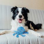 Fuzzl Ozzie der Oktopus – Quietsch-Hundespielzeug mit 4 Quietschern für alle Grössen – Bild 4