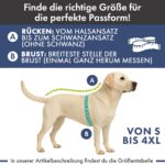 Spark Paws Strickpullover für Hunde – Wärmender Winterpullover in 7 Grössen – Bild 4