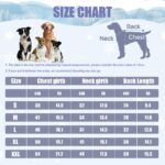 FEimaX Hundejacke mit Fleecefutter – Winddichte Winterweste für kleine & mittlere Hunde – Bild 3