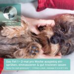 AniForte Fellgeruch-Stop 200 ml – Geruchsneutralisierer für Hunde & Katzen – Bild 4