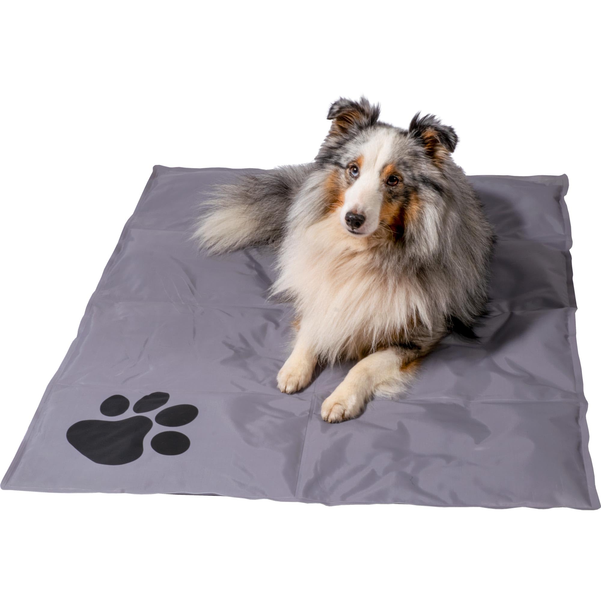 dobar Kühlmatte 99,5 x 70 cm – Selbstkühlende Hundedecke für Hunde & Katzen
