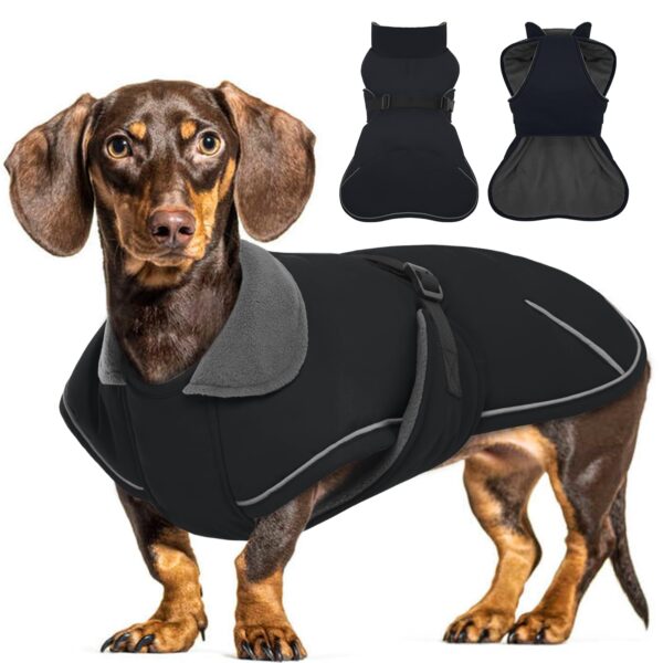 Hjyokuso Hundemantel für Dackel – Wasserdicht & Winddicht mit Bauchschutz
