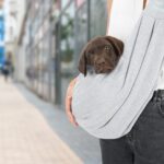 TRIXIE Fronttasche Soft – Tragetasche für Welpen & kleine Hunde bis 5 kg – Bild 2