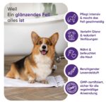 Animigo Pflege-Conditioner für Hunde 500 ml – Nährender Fellbalsam mit Lavendel-, Kokos- & Avocadoöl – Bild 6