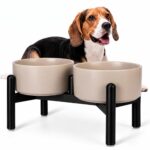 Erhöhter Hundenapf Set PTOBER – Doppelnapf Keramik mit Edelstahlständer für kleine & mittlere Hunde