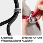 BuddyArmor Y-Form Katzengeschirr Ausbruchsicher – Gepolstertes Softgeschirr für kleine bis grosse Katzen – Bild 5
