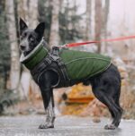 KONVINIT Hunde-Wintermantel XL mit Geschirr & Fleece – Wärmeschutz für grosse Rassen – Bild 8