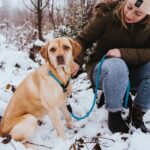 HUNTER Freestyle Dressurhalsung M-L – Rutschfestes Hundehalsband mit Schlupffunktion – Bild 5