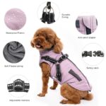 Oslueidy Winterjacke für Hunde – Wasserdichte Wärmejacke mit Reflektoren für kleine & mittelgrosse Hunde – Bild 7