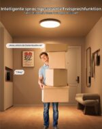 Matane Smart Deckenlampe 30cm RGB LED 24W – Dimmbar mit Alexa & Google Assistant – Bild 3