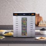 VEVOR Dörrautomat 1000 W mit 10 Edelstahl-Tabletts – 360° Heissluft für gleichmässiges Trocknen – Bild 2