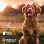 AniForte Neemöl Shampoo 500ml – Hundeshampoo gegen Juckreiz & Parasiten für alle Rassen – Bild 7