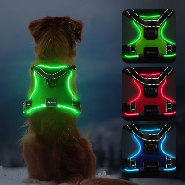 MASBRILL LED Hundegeschirr Grün S – Aufladbar & Reflektierend für sichere Nachtspaziergänge