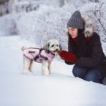 Oslueidy Winterjacke für Hunde – Wasserdichte Wärmejacke mit Reflektoren für kleine & mittelgrosse Hunde – Bild 4