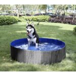 Purlov Faltbarer Hundepool 100x30 cm – 230L Gartenpool mit Ablaufventil für Hunde – Bild 5