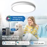 ANTENLICHT Smart LED Deckenlampe 24W Ø30cm – WiFi & Sprachsteuerung für Schlafzimmer – Bild 5