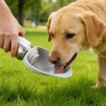Youyijia 800ml Hunde Trinkflasche Edelstahl – Auslaufsicher mit Faltbarem Napf – Bild 2
