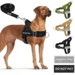 Eyein Hundegeschirr Grösse L mit Leine – Anti-Zug Brustgeschirr für grosse Hunde, reflektierend