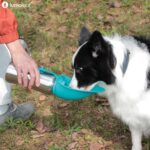 LumoLeaf Hundetrinkflasche 800ml – 2-in-1 Edelstahl Wasserspender für Reisen & Wandern – Bild 9