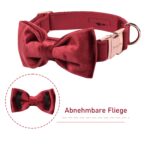 ARING PET Samt-Hundehalsband mit Schleife – Weiches Halsband für kleine & mittlere Hunde – Bild 2