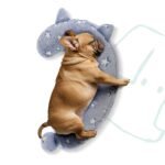 POMESEA Hundekissen L Blau – Orthopädisches U-förmiges Hundebett mit Memory-Foam