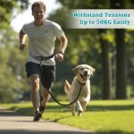 Philorn Joggingleine mit Bauchgurt – Freihändige Hundeleine für grosse und mittelgrosse Hunde – Bild 7