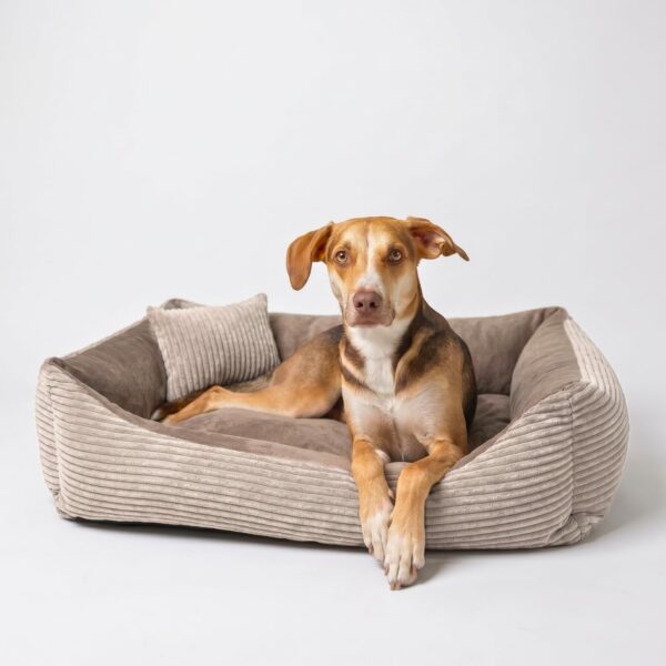4L Textil Molly Cord Hundebett 100x80 cm – Maschinenwaschbar für mittelgrosse Hunde