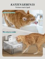 DownyPaws Katzenbrunnen Filter 6er Pack – Ersatzfilter für DPWFP6 Trinkbrunnen – Bild 6