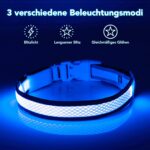 Colaseeme LED-Leuchthalsband Hund M – USB-C aufladbar, 3 Leuchtmodi, wasserdicht – Bild 2