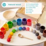 Ulanik Holz-Sortierset mit 12 Kugeln & Bechern – Montessori Spielzeug ab 1 Jahr – Bild 7