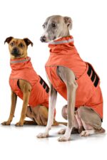 ZAUBERPFOTE® Hunderegenmantel London – Wasserdicht mit YKK® Reisssverschluss für alle Hundegrossen
