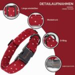 Unique Style Paws Hundehalsband verstellbar XS-XL – Premium Designhalsband für kleine, mittlere & grosse Hunde – Bild 3