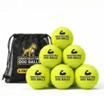 Big Game Hunters Hundebälle 6er-Set – Unzerstörbare Tennisbälle für aggressive Kauer