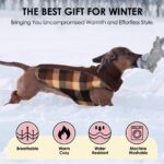 CITÉTOILE Wintermantel für Hunde Grösse M – Wendbar mit Bauchschutz & Reflektoren – Bild 7
