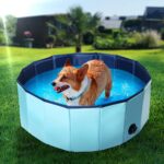 Stimo Hundepool Ø 80cm mit Anti-Slip-Boden – Planschbecken für Hunde & Welpen – Bild 2