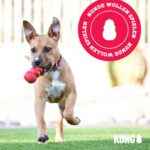 KONG Wobbler Interaktiver Futterspender – Slow Feeder für Mittelgrosse & Grosse Hunde – Bild 8