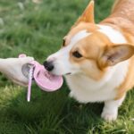 Flanliy 285 ml Hundetrinkflasche mit Faltnapf – Auslaufsicher für Unterwegs – Bild 5