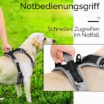 ThinkPet Anti-Zug Hundegeschirr Grösse S – Sicheres Sportgeschirr mit Griff für kleine Hunde – Bild 5