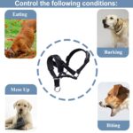 ILEPARK Hundehalfter L Schwarz – Gepolstert, verstellbar & zugfrei für sicheres Spazierengehen – Bild 6