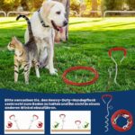 Aomig Bodenanker Hund bis 125 kg – Spiralankerpflock mit Schleppleine für sicheres Outdoor – Bild 6